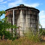 vineyards