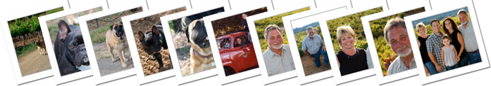 Teldeschi Family Photo Album