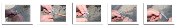 Grafting a Grape Vine Photo Album