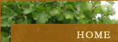 Del Carlo Winery -Three Generations, located in the Dry Creek Valley Appellation