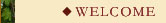 Welcome to Del Carlo Winery