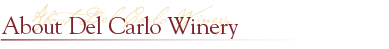 About the Del Carlo Winery and the Teldeschi family
