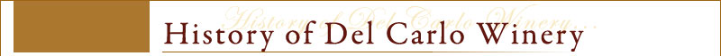 Welcome to Del Carlo Winery - our family invites you to enjoy our own Cabernet Sauvignon, and our Zinfandel made from century-old vines.