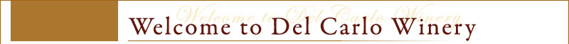 Welcome to Del Carlo Winery - our family invites you to enjoy our own Cabernet Sauvignon, and our Zinfandel made from century-old vines.
